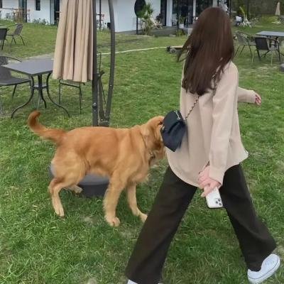 快藏起来!玛琪娜同学
